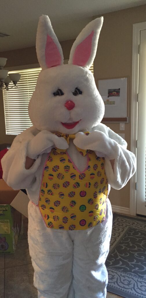 Hire the Easter Bunny near you.